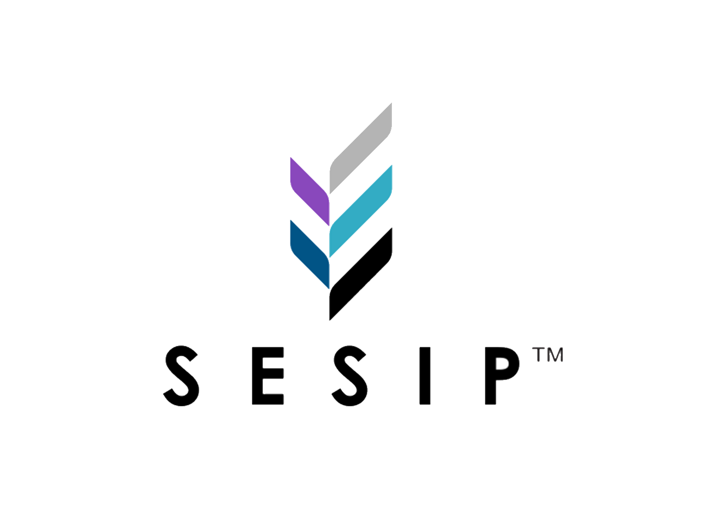 What is sesip certification?